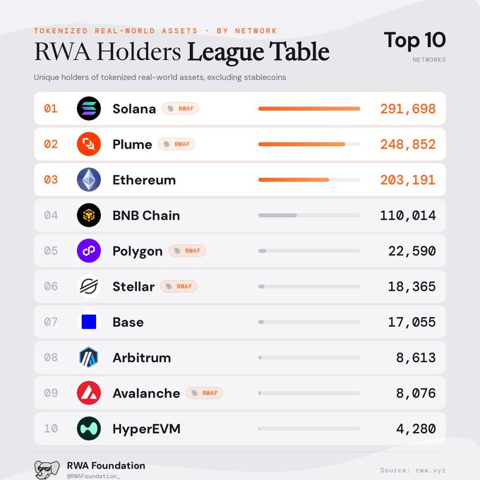 A league table titled "Top 10 Networks – RWA Holders League Table" ranks blockchain networks by unique holders of tokenized real-world assets (excluding stablecoins), with Solana leading at 291,698, followed by Plume (248,852) and Ethereum (203,191), down to HyperEVM at 4,280. The image directly mirrors the accompanying post's ranking, sourced from rwa.xyz by the RWA Foundation.