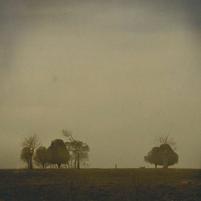 A misty, melancholic landscape depicts a small figure walking between two clusters of silhouetted trees on a barren horizon under a hazy beige sky.