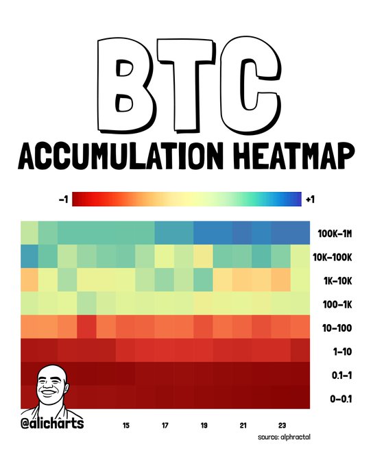 This "BTC Accumulation Heatmap" from @alicharts visualizes Bitcoin accumulation behavior across wallet sizes (0-0.1 to 100K-1M BTC) from mid-August to late September, using a color scale from -1 (red/selling) to +1 (blue/buying). The heatmap confirms the post's claim by showing small retail wallets (0.1-1 BTC) in deep red at -0.982, while large whale wallets (100K-1M BTC) appear in blue, indicating accumulation rather than profit-taking during Bitcoin's 31% rally from $62,229 to $81,500.