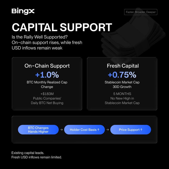 A BingX cryptocurrency market analysis titled "CAPITAL SUPPORT" showing BTC On-Chain Support at +1.0% (+$183M Public Companies' Daily BTC Net Buying) and Fresh Capital at +0.75%.