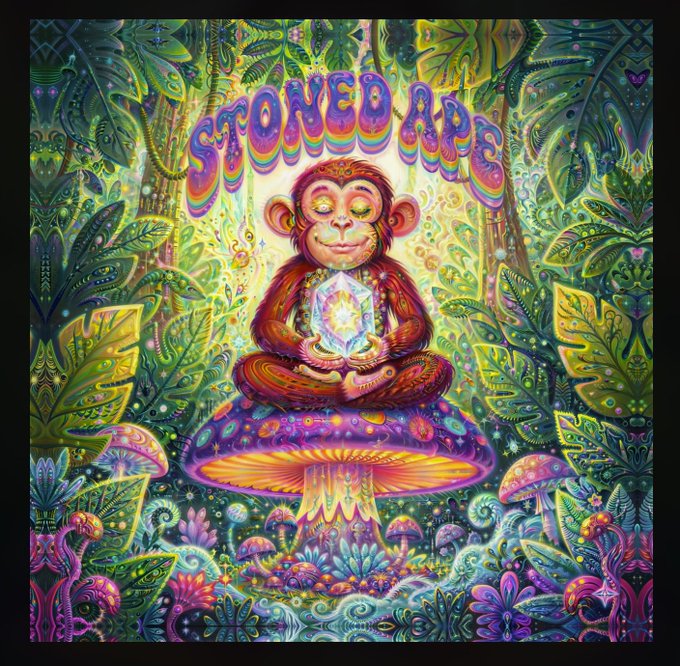 A vibrantly psychedelic digital illustration features a serene monkey meditating in lotus position atop a glowing purple mushroom, holding a radiant crystal with the text "STONED APE" arched in rainbow lettering above, all set against a kaleidoscopic jungle background of intricate foliage and luminous mushrooms. This artwork serves as the Genesis cover of the "STONED APE CHRONICLES," a 1/1 NFT being auctioned on transient.xyz that includes a signed 16x16" fine-art print and a 10x10" signed physical art-book.