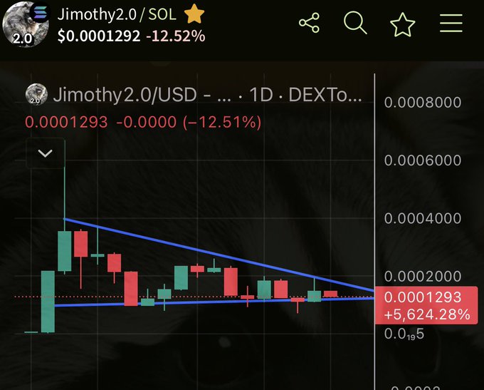 A cryptocurrency price chart for Jimothy2.0/SOL showing a price of $0.0001292 with a 12.52% decline, featuring a descending triangle pattern with red and green candlesticks on a 1-day DEXTools timeframe, set against a background image of a cat's face.