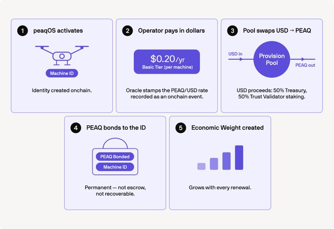 The image is a five-step infographic illustrating peaqOS's provisioning flow: (1) peaqOS activates and creates a Machine ID onchain, (2) the operator pays $0.20/yr per machine in USD (Basic Tier) with the oracle recording the PEAQ/USD rate onchain, (3) the Provision Pool swaps USD to PEAQ (split 50% Treasury, 50% Trust Validator staking), (4) PEAQ is permanently bonded to the Machine ID (non-escrow, non-recoverable), and (5) Economic Weight is created that grows with every renewal. This supports the post's point by showing how peaq shifts from being just another L1 to generating real, recurring onchain token demand—machine operators continuously swap USD for PEAQ every renewal cycle, bootstrapping organic liquidity and usage rather than relying on speculative trading.