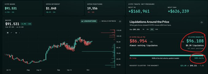 A financial dashboard displaying HVPE data showing $91.531, open positions of 19,556, and 12-hour swap P&L of +$160,961, with a price chart and liquidation information for '12 HYPE GAVE IO' highlighted showing $96.108.