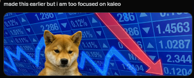A Shiba Inu dog appears overlaid on a backdrop of declining stock tickers with numbers like "0.12%" and downward red arrows, with text reading "made this earlier but i am too focused on kaleo" — humorously juxtaposing bearish market imagery with a "thinking cat" meme to deliver an ironic bullish sentiment.