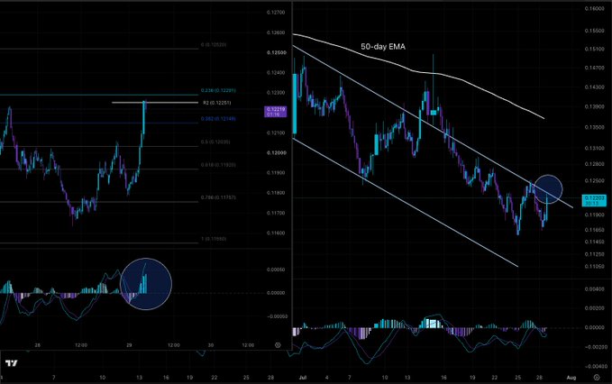 This candlestick chart for $CC shows a price reversal from a local bottom, highlighted by a blue circle at the current price level of 0.12203. The image supports the post's bullish sentiment by illustrating the upward price acceleration and the corresponding positive MACD crossover circled in the bottom left.