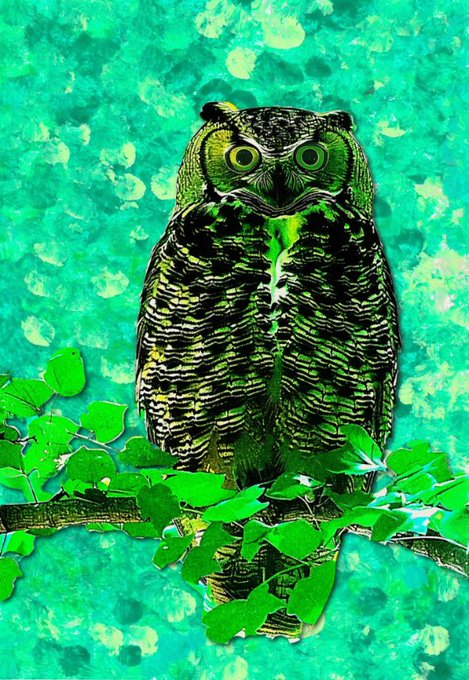 Artistic portrait of an owl perched on a leafy branch, rendered with vibrant green and yellow tones against a textured teal background.