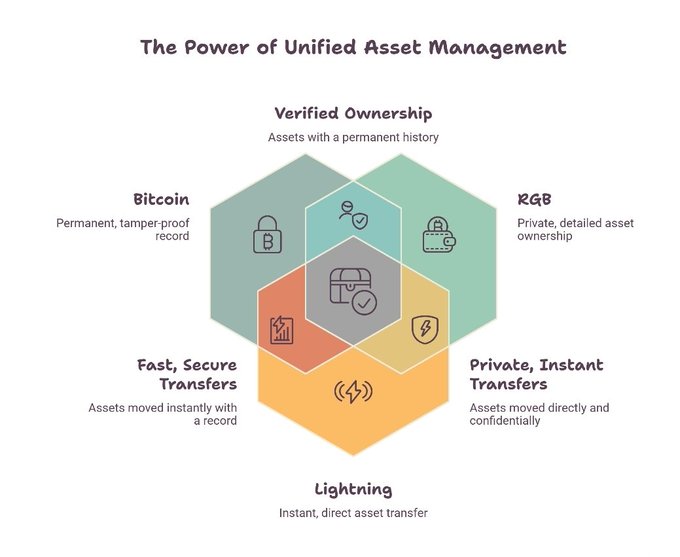 An infographic titled 'The Power of Unified Asset Management' featuring overlapping hexagons labeled Bitcoin, RGB, and Lightning, highlighting verified ownership, fast secure transfers, and private instant transfers.