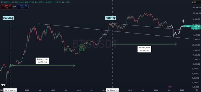 A Bitcoin (BTCUSDT) candlestick chart on TradingView showing price action with annotations marking 'Halving' events and projections up to 2027.