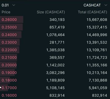 A CASHCAT order book showing sell orders from 0.16 to 0.26 CASHCAT, with a large 5.1 million CASHCAT sell wall at 0.17 and the biggest single order of 3.08 million at 0.19 CASHCAT, illustrating the heavy short positions referenced in the post about potential liquidation and price squeeze.