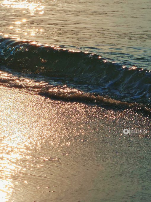 A close-up photo of ocean waves washing onto a sandy beach with sunlight glistening on the water, watermarked with 'INESTUDIO PHOTOGRAPHY'.
