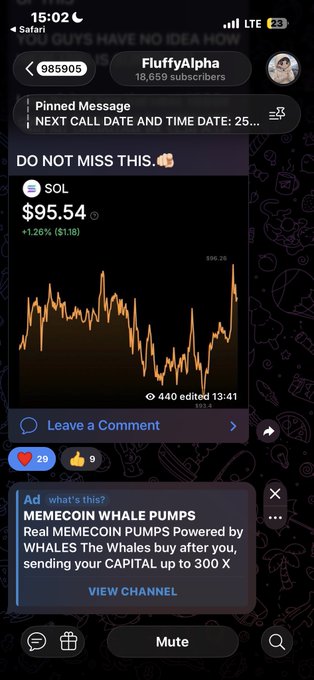 The image shows a Telegram channel screenshot from "FluffyAlpha" displaying a pinned message about an upcoming call date/time, along with a cryptocurrency price chart showing SOL (Solana) at $95.54, up 1.26% ($1.18). The post includes a Solana wallet address (BakyXRTtW2cdivHrqoENQhSfaMjGLRgDudV8QSBGcKNf) and a thank you message, suggesting the sender shared their crypto wallet to receive tips or payments related to the Solana trading discussion shown in the channel.