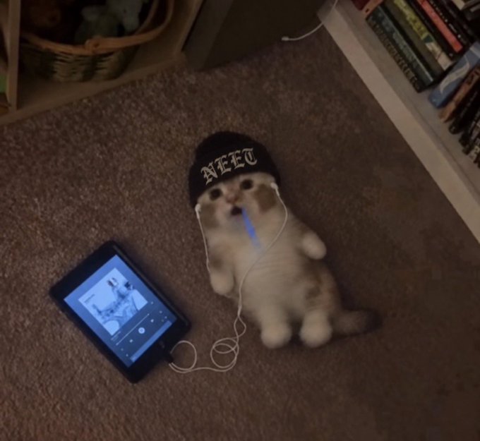 A humorous photo of a small kitten lying on its back on a carpet wearing a black 'NEET' beanie with wired earphones connected to a nearby MP3 player/tablet displaying a music app.