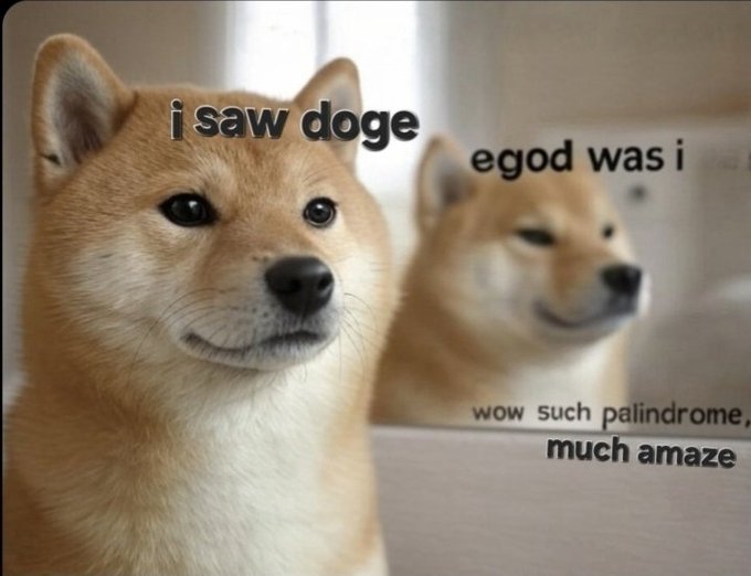 A meme features two Shiba Inu dogs with text reading 'i saw doge,' 'egod was i,' and 'wow such palindrome, much amaze.'
