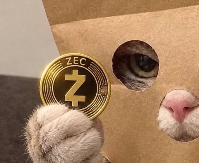 A humorous image shows a white cat peering through holes in a brown paper bag, holding a gold 'ZEC' (Zcash) cryptocurrency coin next to the holes framing its eye and pink nose.