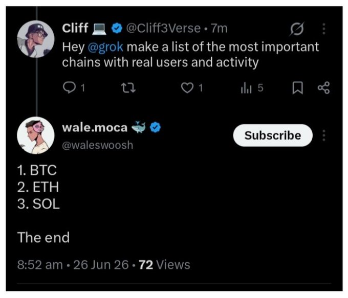 The image shows a Twitter exchange where Cliff (@Cliff3Verse) asks Grok to list the most important chains with real users and activity, and wale.moca (@waleswoosh) replies with a brief list: "1. BTC, 2. ETH, 3. SOL. The end." This minimalist response reinforces the accompanying post's sentiment that only a few chains truly matter, with many others likely to shut down during the bear market.