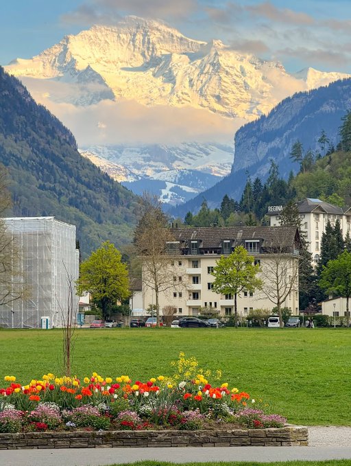 The image shows a beautiful view of a mountain range with snow-capped peaks, surrounded by lush green trees and buildings at the base of the mountains. In front of these buildings, there's a large flower bed filled with colorful flowers that adds a vibrant touch to the scene. The photo is tagged with the hashtag #XRP, which could be related to an advertisement or promotion for Bitcoin.