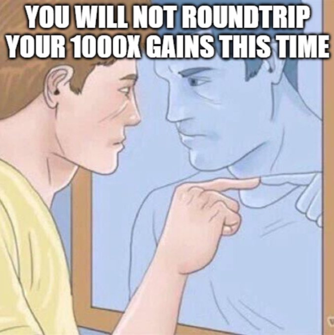 Meme showing an anime character pointing at their reflection in a mirror with text overlay reading 'YOU WILL NOT ROUNDTRIP YOUR 1000X GAINS THIS TIME'