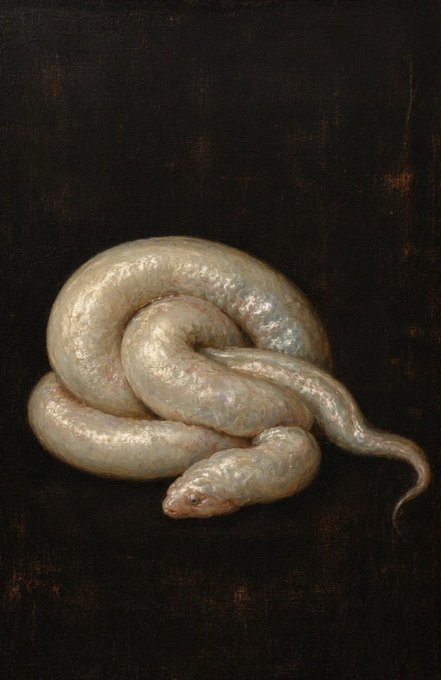 A classical oil painting depicting a coiled white/pale snake against a dark background.
