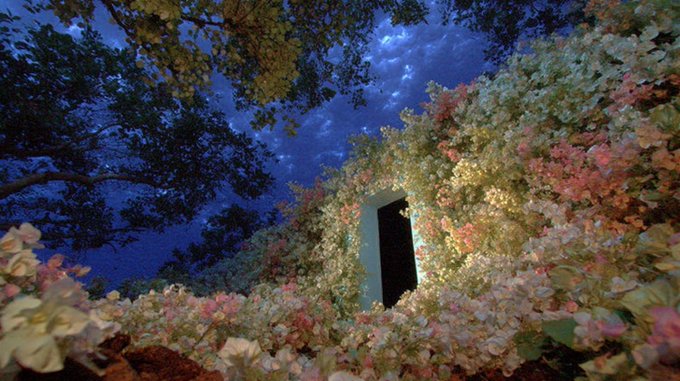A magical doorway emerges from a dense field of colorful blooming flowers under a deep blue twilight sky, evoking the dreamlike theme of "Into the Bloom." The scene captures the essence of the Genesis NFT being listed, with the glowing portal symbolizing a journey into a surreal, vibrant world.