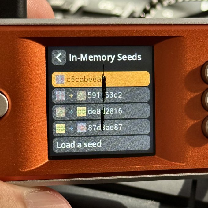 A close-up of a hardware device's screen displaying 'In-Memory Seeds' with a list of seed phrases including 'c5cabeea', '5911 63c2', 'de8d2816', and '87d1ae87', along with a 'Load a seed' option.