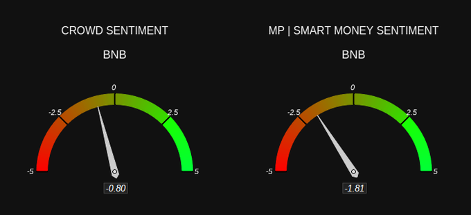 Sentiment gauges for BNB: Crowd Sentiment -0.80 and MP | Smart Money Sentiment -1.81.