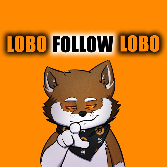 An orange-background cartoon illustration features a smug-looking wolf character wearing a bandana with Bitcoin logos, accompanied by the text "LOBO FOLLOW LOBO" at the top.