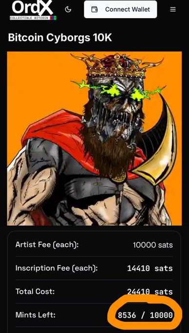 The image shows an OrdX marketplace listing for "Bitcoin Cyborgs 10K" featuring a crowned cyborg warrior illustration with an orange background, where 8,536 of 10,000 mints remain at 24,410 sats each. The post suggests this collection needs to mint out before an ordinals bull run can begin.