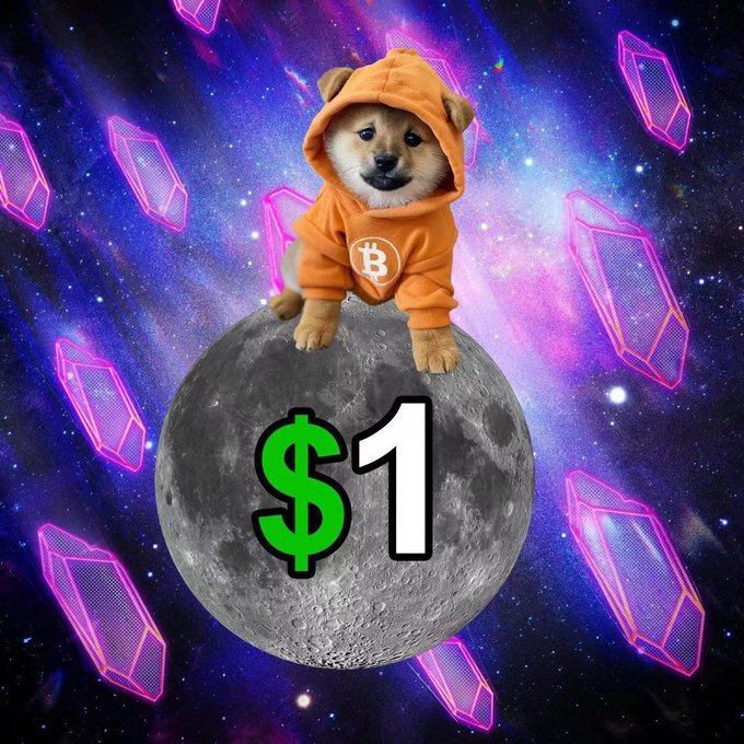 A Shiba Inu dog wearing an orange Bitcoin hoodie sits atop a gray moon in a colorful space scene, with a large green '$1' overlaid on the image.
