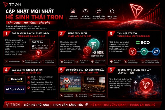 A detailed Vietnamese marketing slide for the 'TRON' ecosystem, highlighting 'Cập nhật mới nhất hệ sinh thái TRON' with sections on digital assets, stablecoins, and global community.