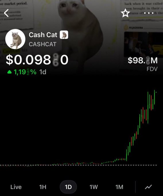 A screenshot of a crypto tracking app shows the "Cash Cat" token (CASHCAT) priced at $0.0980, up 1,192% in 1 day, with a $98.1M FDV and a steep upward candlestick chart on the 1D timeframe—visually corroborating the post's claim of massive overnight gains from this cat-themed meme coin.