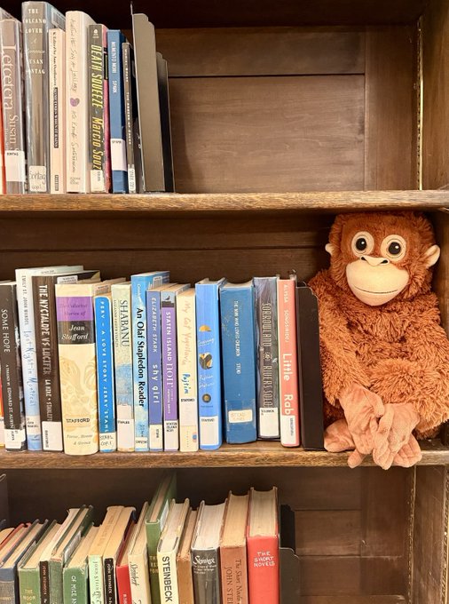 A wooden bookshelf filled with classic and modern book spines, including titles like 'The Great Gatsby', 'The Lottery', 'Death-Sweet-Bitter-Body', 'East of Eden', 'Shantung', 'A Clockwork Orange', 'Sophie's Choice', and 'The Story of Alice', with a plush orangutan toy wedged among the books.