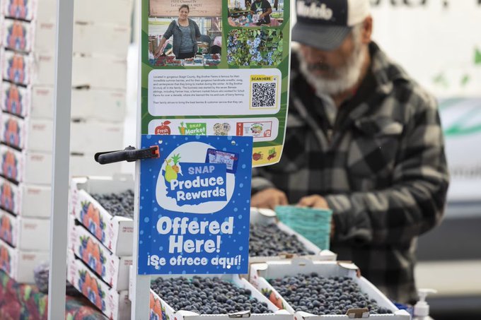 A photograph shows a man with a beard and a plaid jacket working at a farmer's market stand filled with boxes of blueberries, with a blue sign reading 'SNAP Produce Rewards Offered Here! ¡Se ofrece aquí!' and a 'SCAN HERE!' QR code visible.