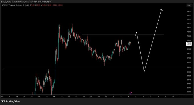 A TradingView chart of LTC/USDT Perpetual Contract on Bybit (1H timeframe) is shown, priced at 69.58 with a 0.02% gain, featuring white arrows projecting a sharp price dip down to around 64 followed by a strong rally toward 78. The annotated technical analysis supports the post's outlook of an eventual market dump before a slow upward grind in Litecoin.