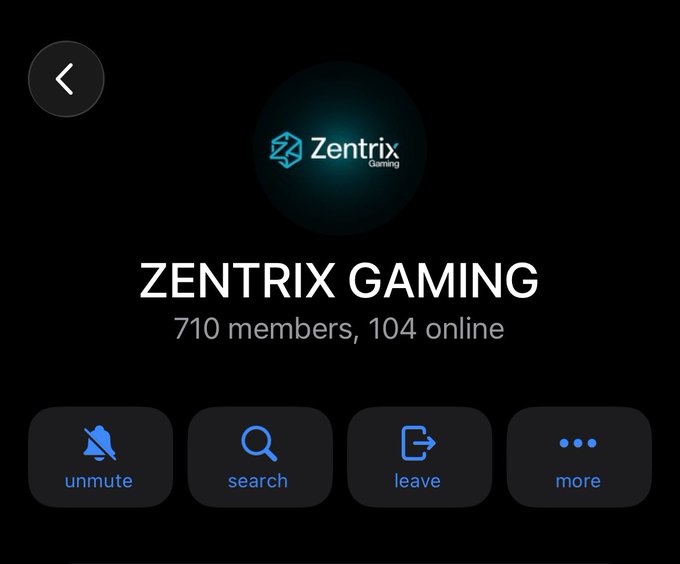 The image shows a Telegram-style group page for "Zentrix Gaming" with 710 members and 104 online users, displaying action buttons for unmute, search, leave, and more. This visually supports the post's excitement about rapid community growth, as the membership has swelled from 500+ to 710 members, with 104 actively online as the project approaches its test-net launch in 10 days.