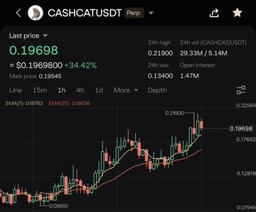 A cryptocurrency trading chart displays CASH/USDT (CASHCATUSDT) with a last price of 0.19698, up 34.42%, showing a 24h high of 0.21900 and 24h low of 0.13400.