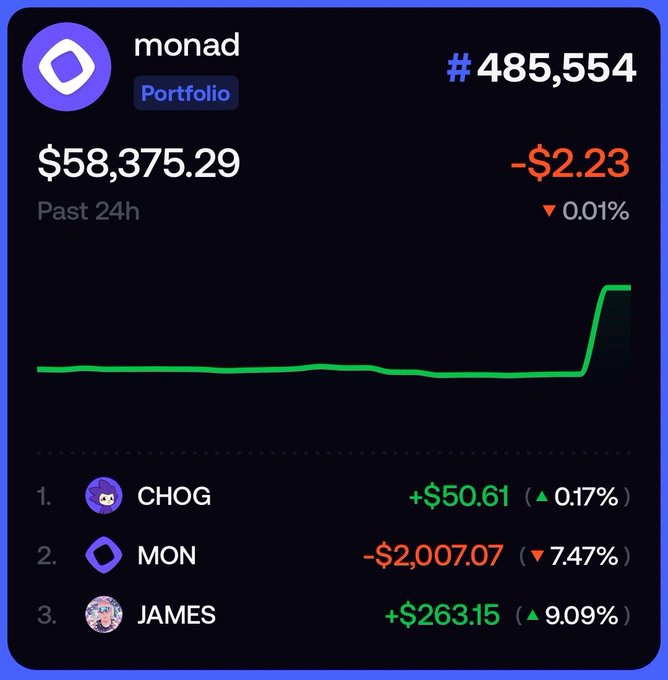 A crypto portfolio dashboard for "monad" (#485,554) shows a total value of $58,375.29, down $2.23 (-0.01%) over 24 hours, with the top holdings being $CHOG (+$50.61, ▲0.17%), $MON (-$2,007.07, ▼7.47%), and $JAMES (+$263.15, ▲9.09%). The image supports the post's argument that $CHOG is the largest holding in this Monad portfolio, though the ranking shown actually places $MON second—reinforcing the point that bullish positions on $CHOG, despite $MON being the second-biggest asset, make bearish sentiment questionable.