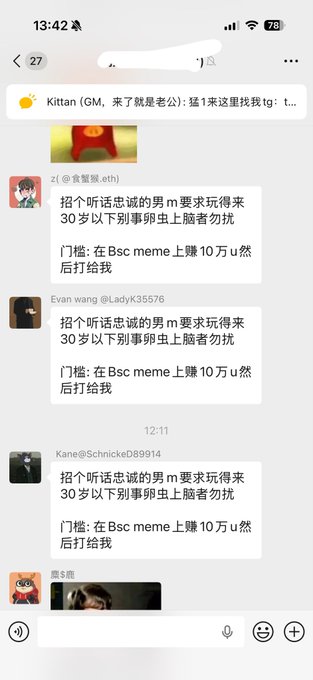 A Telegram chat screenshot in Chinese with multiple users posting the same message looking for an honest, well-behaved male under 30, offering 100k on a BSC meme as an entry fee.