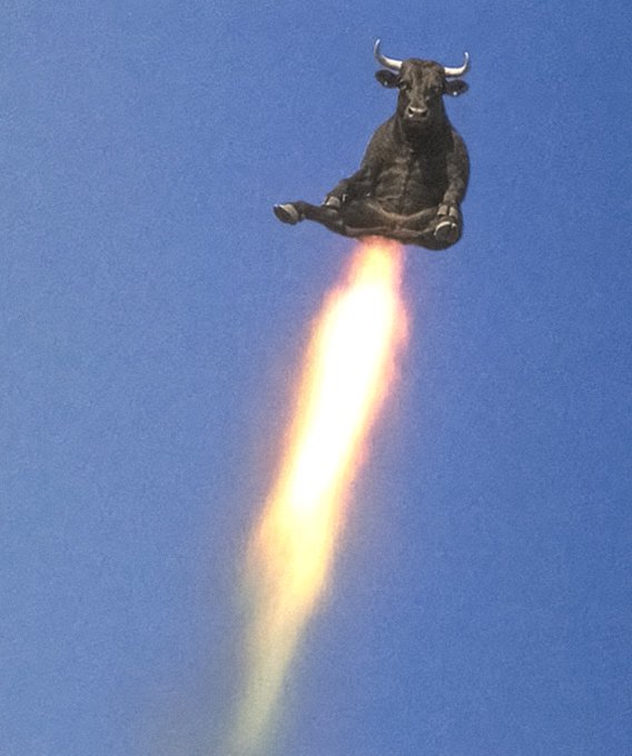 A dark bull sits in a meditative pose against a clear blue sky, propelled upward by a rocket of bright flames beneath it — visually representing bullish momentum "going higher" in a meme-style homage to the Solana memecoin $ANSEM.