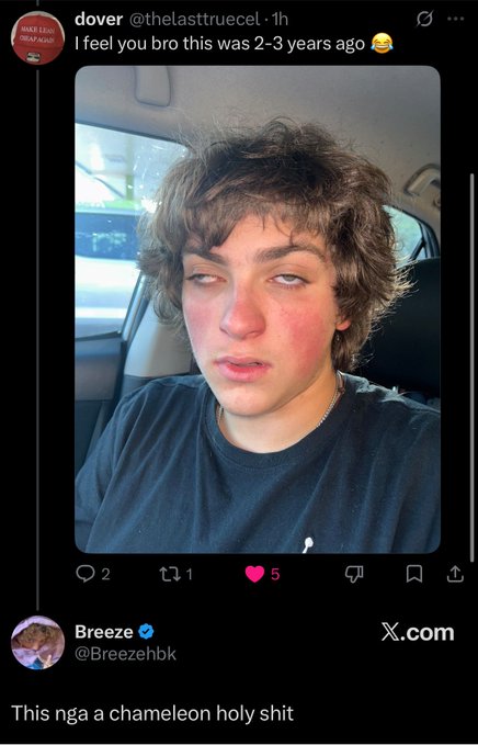 A screenshot of a tweet showing a young man with flushed red cheeks in a car, with the caption 'This nga a chameleon holy shit' from user Breeze.