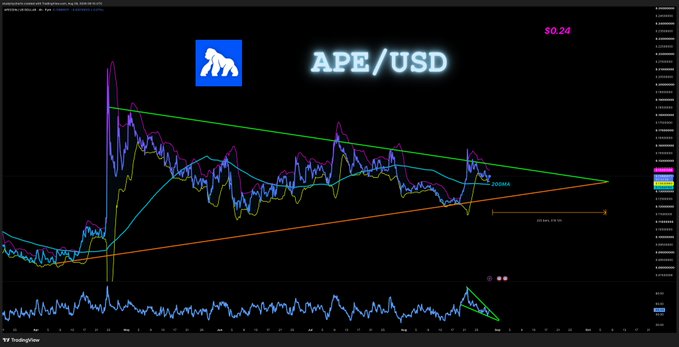A TradingView chart of APE/USD priced at $0.24 displays a symmetrical triangle pattern with Bollinger Bands squeezing around the $0.20 support level and a 4h 200MA providing backing, alongside a technical analysis projecting a bullish breakout target of 24 cents upon breaking the green descending resistance line.