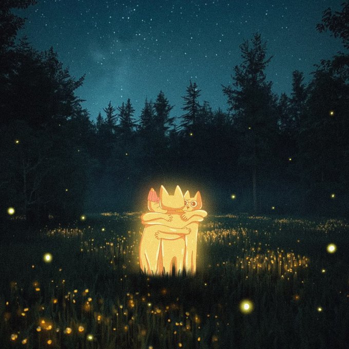 An illustration of two glowing fox-like creatures hugging in a dark forest field under a starry night sky, surrounded by floating fireflies or glowing orbs.