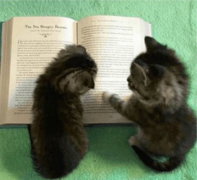 Two gray kittens sit on a green carpet intently studying an open book titled "The Six Hungry Beasts," with one cat pawing at the page as if analyzing financial charts—mirroring the "study catcoin supercycle?" meme of a cat seriously researching cryptocurrency trends.