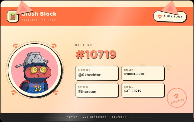 A 'Blush Block' NFT digital certificate titled 'RESIDENT PAW PASS' for Unit #10719, featuring a cat in a colander with 'SS' on its shirt, owned by @Oxhecktor with wallet 0x0ddC4...86DE on the Ethereum network.