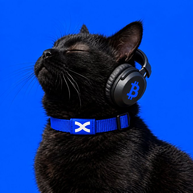 A content black cat wears over-ear headphones featuring a blue ₿ (Bitcoin) logo on the earcup, paired with a blue collar displaying an "X" emblem. With eyes blissfully closed against a vivid blue background, the cat embodies the post's "currently streaming $BTC" vibe—fully tuned in and vibing to Bitcoin.