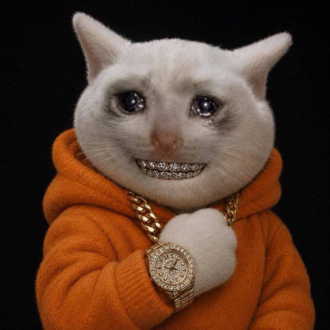 A white cat wearing an orange hoodie sports a gold chain necklace and a diamond-encrusted watch, flashing a bedazzled grill smile in a "Cashcat." persona that embodies hip-hop luxury and wealth.