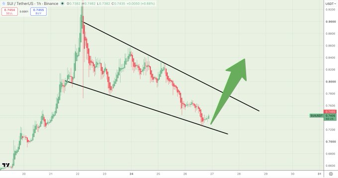 A SUI/USDT 1-hour chart from Binance showing a descending channel pattern on the SUI/USDT pair (currently priced at 0.7455), with a large green arrow indicating a bullish breakout and the poster announcing a long entry while hoping BTC cooperates. The price appears to be testing the upper trendline of the descending channel, suggesting potential upside momentum ahead.
