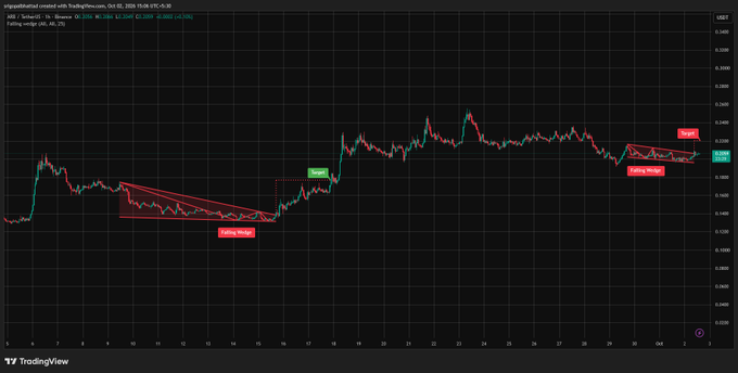 A financial price chart with annotations showing 'Falling Wedge' patterns and 'Reentry', 'Target', and 'Parabolic Breakout' labels, with price values like 0.24, 0.2367, and 0.2257 visible on the right axis.
