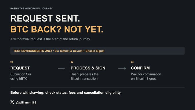 An informational graphic titled 'HASHI / THE WITHDRAWAL JOURNEY' explaining a BTC withdrawal process with the steps: 01 REQUEST (Submit on Sui using hBTC), 02 PROCESS & SIGN (Hashi prepares the Bitcoin transaction), and 03 CONFIRM (Wait for confirmation on Bitcoin Signet), with the note 'Test environments only / Sui Testnet & Devnet + Bitcoin Signet' and credit to @williamm166.