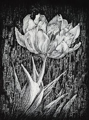 A striking black and white scratchboard-style illustration of two blooming tulips, their delicate petals rendered in white against a heavily textured dark background, evoking the "desire for life" referenced in the Art Pilgrim NFT title. The intricate cross-hatching and organic lines give the flowers a sense of vibrancy emerging from the darkness, visually capturing the artwork's thematic essence.